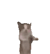 gatohappy meme