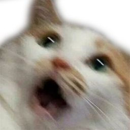 cat scared